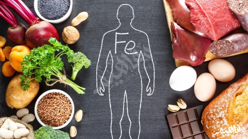 low white blood cell food low white blood cell food