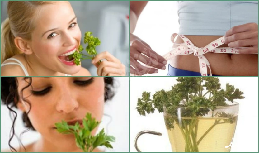 أعشاب طبيعيةزيادة الوزن أعشاب طبيعيةزيادة الوزن