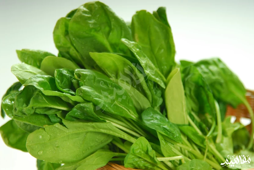 الجرجير الجرجير