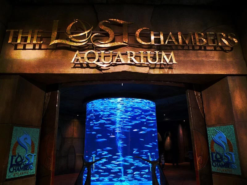 حوضالحجرات المفقودة دبي الامارات حوضالحجرات المفقودة دبي الامارات