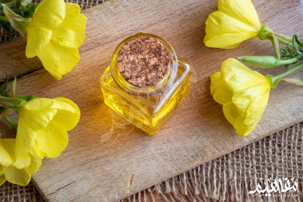 Evening Primrose Evening Primrose