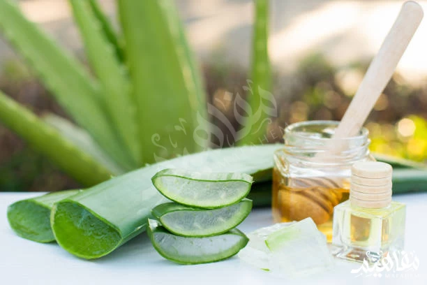 Aloe vera oil Aloe vera oil