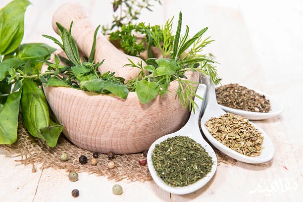 Herbal Medicine Herbal Medicine
