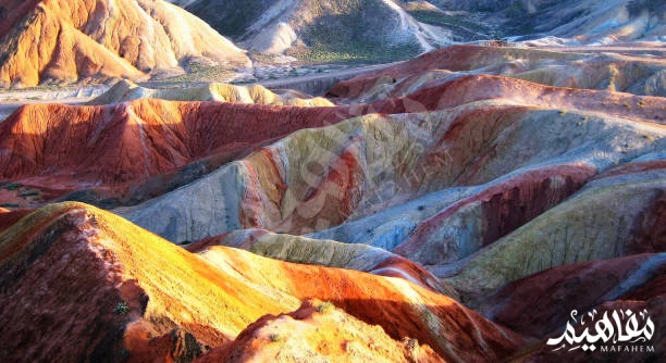 Petrified Forest, United States Petrified Forest, United States