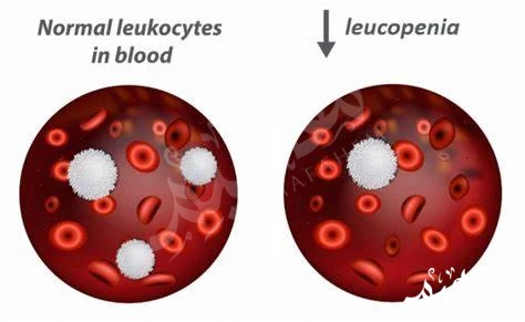 low white blood cell count low white blood cell count
