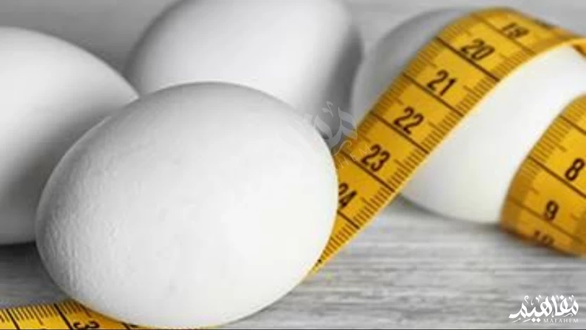 boiled egg diet boiled egg diet