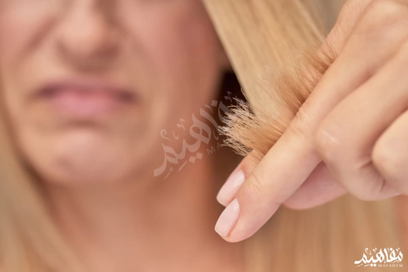 nail fungus nail fungus