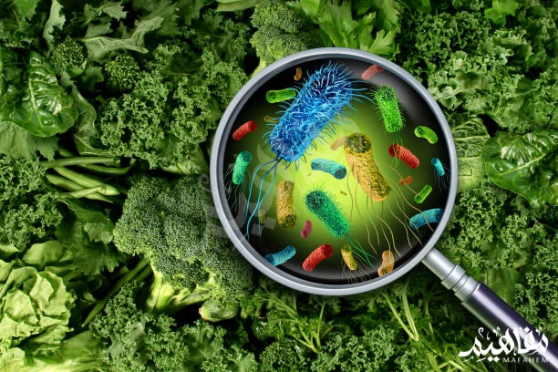 التسمم الغذائي التسمم الغذائي