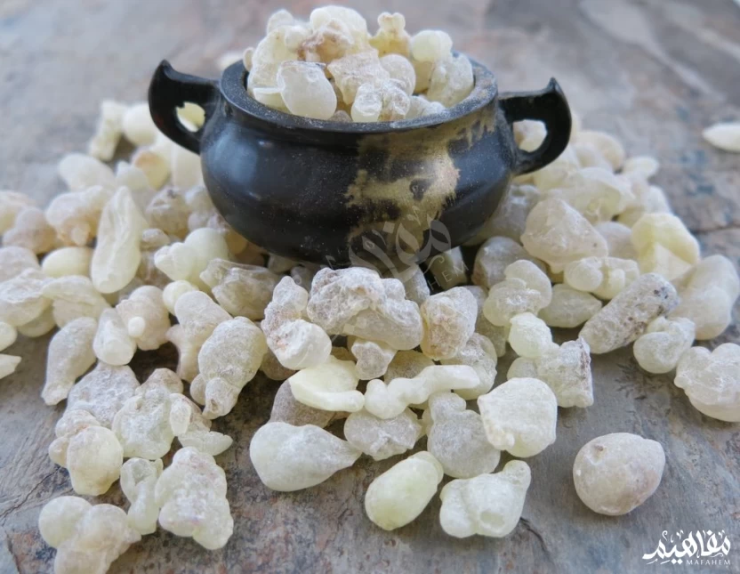 فاسوخ أبيض فاسوخ أبيض