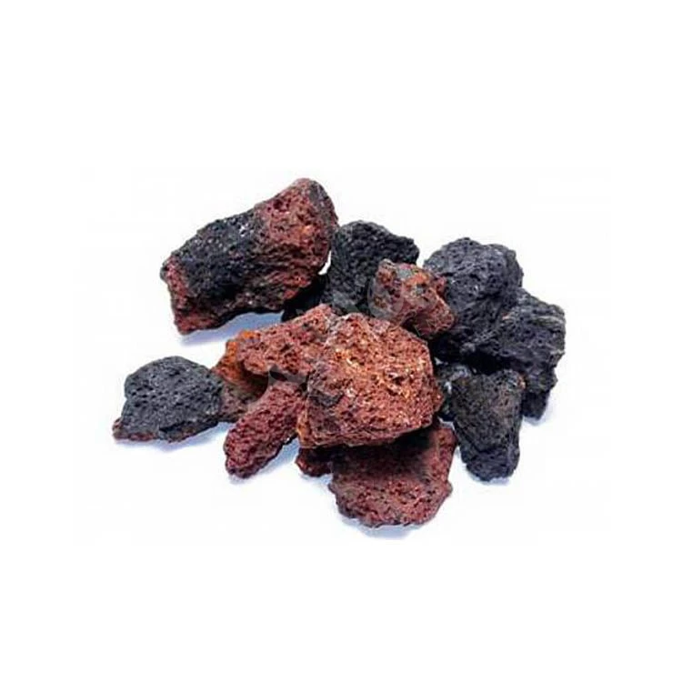 فاسوخ أسود فاسوخ أسود