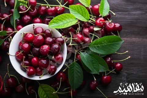 الكرز الحامض الكرز الحامض