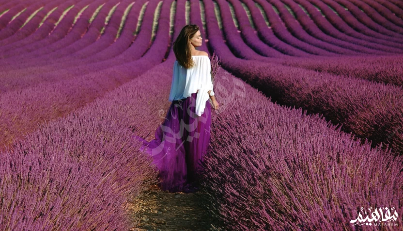 البنفسجي البنفسجي