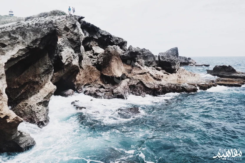 الزبد في البحر الزبد في البحر