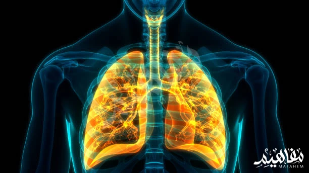 تنطيف الرئة تنطيف الرئة