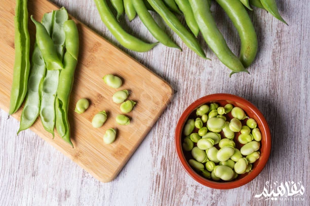 الفول الاخضر الفول الاخضر