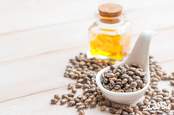 زيت الخروع زيت الخروع