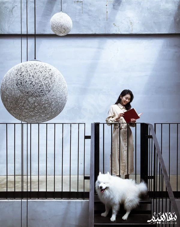 قراءة قراءة