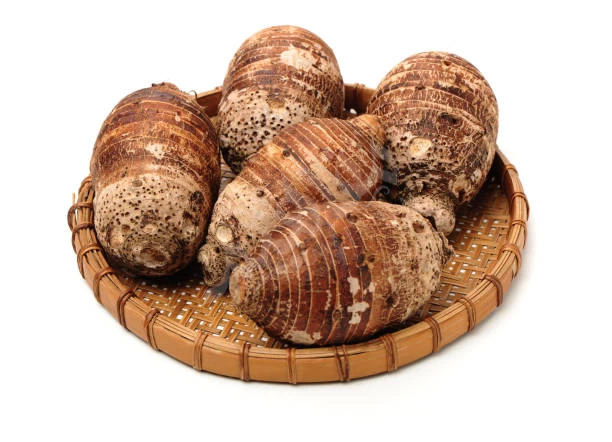 القلقاس القلقاس