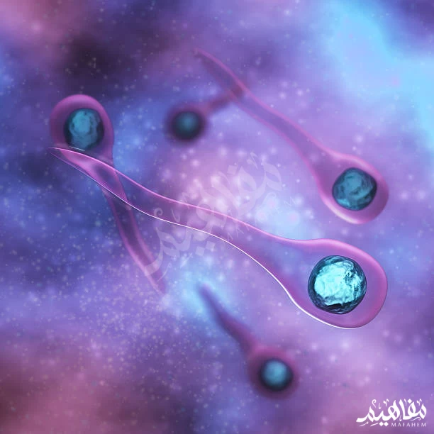 الكزاز الكزاز