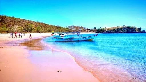 شاطئ وردي شاطئ وردي