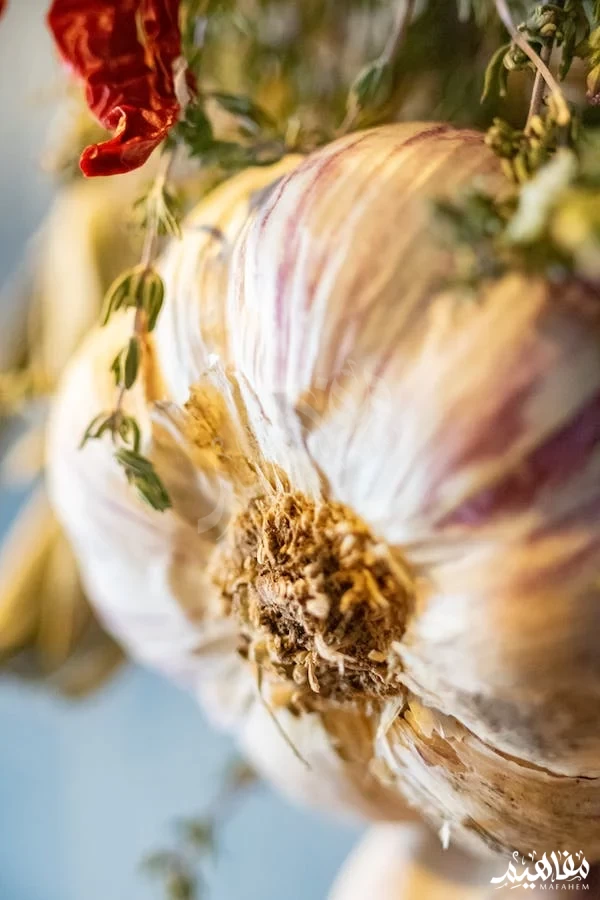 garlic herb garlic herb