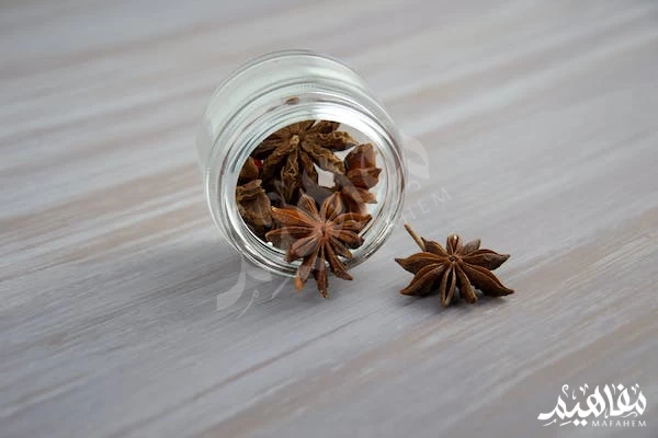 Anise herb Anise herb