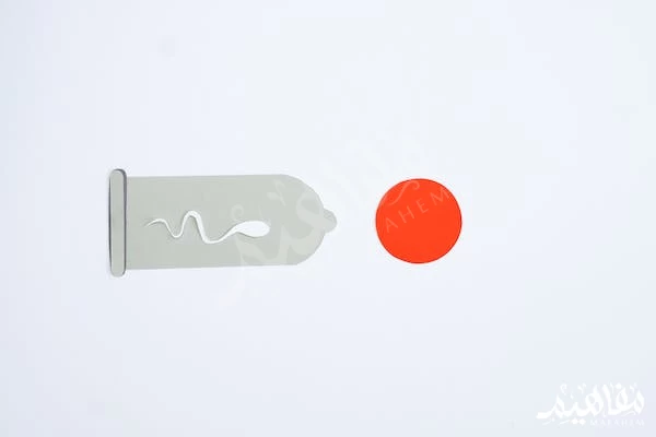 fertilization of the ovum fertilization of the ovum