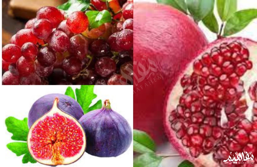 فواكه مضادة للأكسدة فواكه مضادة للأكسدة