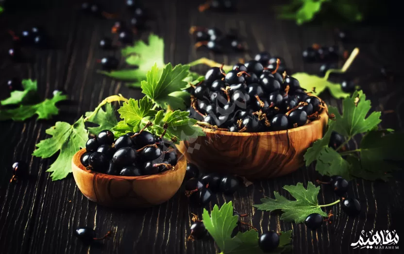 الكشمش_الأسود الكشمش_الأسود