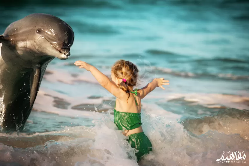 فوائد_الدولفين فوائد_الدولفين