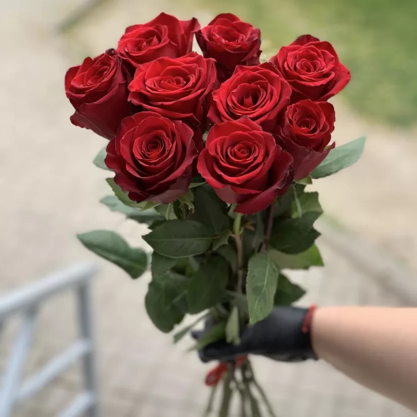 أنواع-الورود-واسمائها -ومعانيها أنواع-الورود-واسمائها -ومعانيها