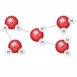 الوظائف البيولوجية للماء في الجسم الوظائف البيولوجية للماء في الجسم
