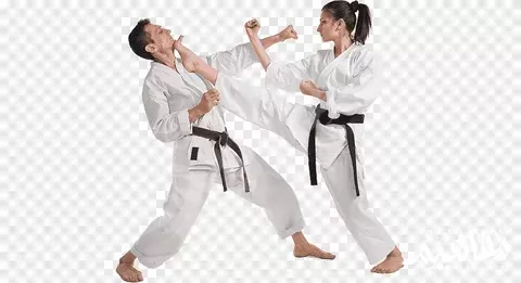 الكاراتيه الكاراتيه
