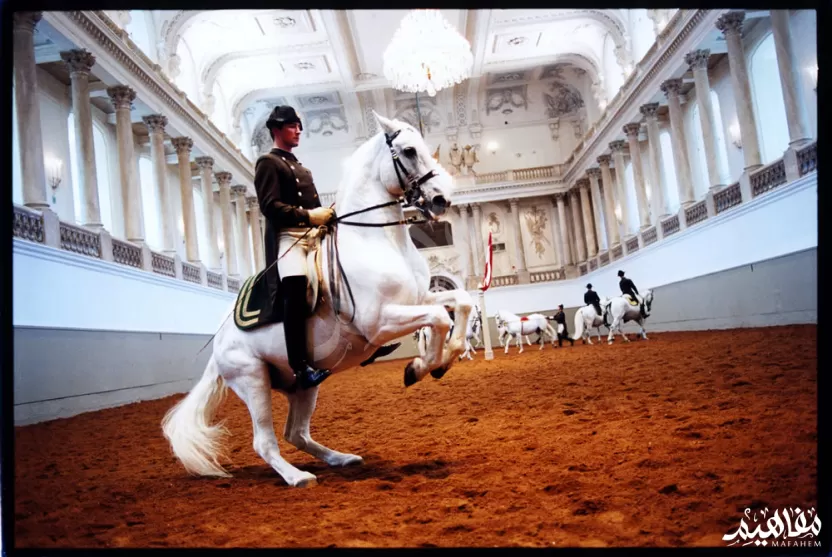 المدرسة الأسبانية للفروسية المدرسة الأسبانية للفروسية