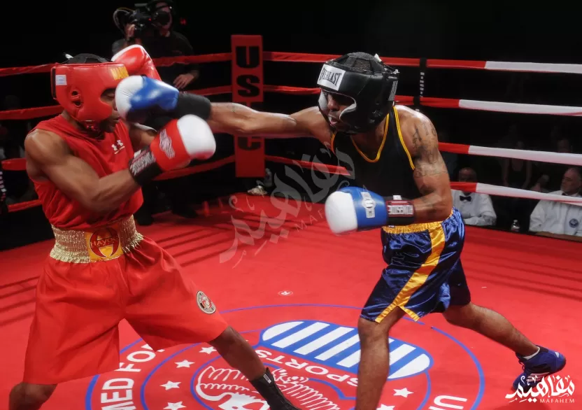 الملاكمة الملاكمة