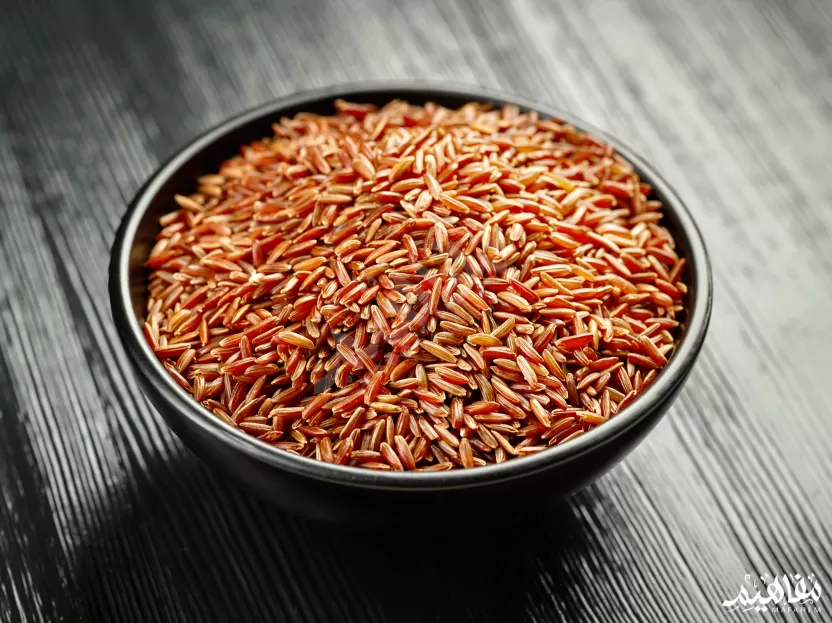 الأرز البقري البري الأرز البقري البري