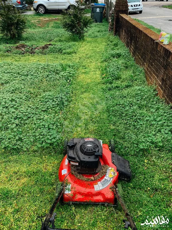 جزازة جزازة