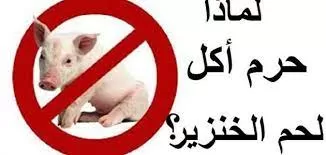 حكم_تناول_لحم_الخنزير حكم_تناول_لحم_الخنزير