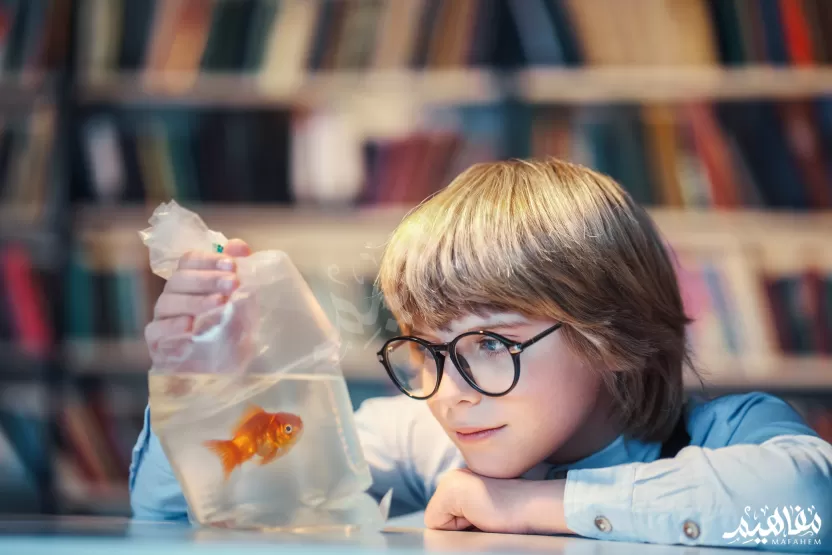 مرحلة_الطفولة_المبكرة مرحلة_الطفولة_المبكرة