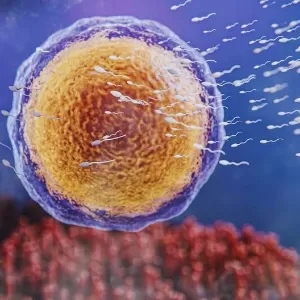 تجارب النساء مع علامات فشل تلقيح البويضة تجارب النساء مع علامات فشل تلقيح البويضة