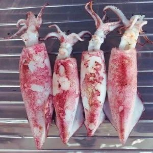 طريقة تنظيف السبيط طريقة تنظيف السبيط