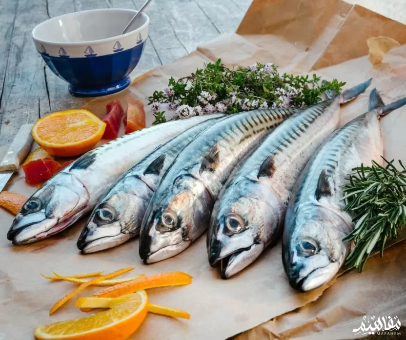 الماكريل الإسقمري الأسترالي المرقط الماكريل الإسقمري الأسترالي المرقط