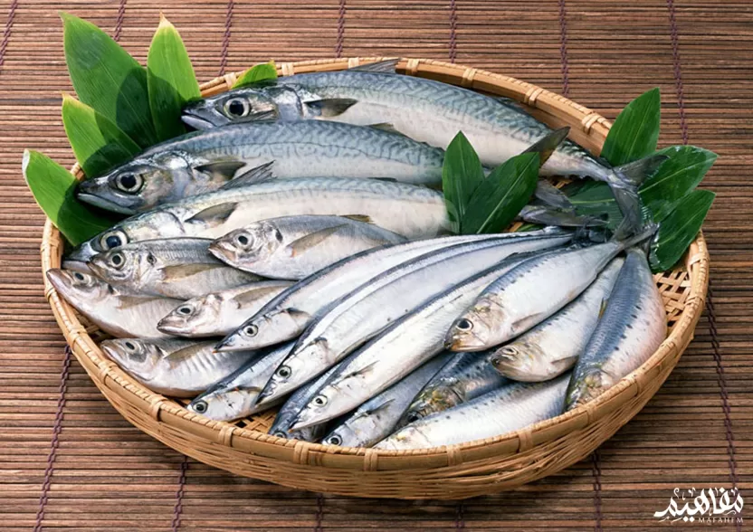 الماكريل الهندي الماكريل الهندي