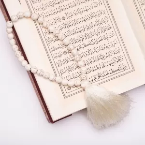 تاريخ اللغة العربية تاريخ اللغة العربية