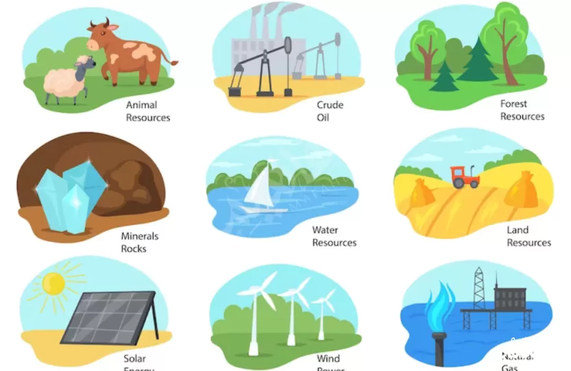 عناصر النظام البيئي الطبيعي عناصر النظام البيئي الطبيعي