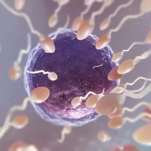 ما هو انسداد قناة فالوب وما يتسبب فيه؟ ما هو انسداد قناة فالوب وما يتسبب فيه؟