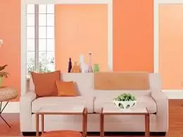 اللون المشمشي الفاتح في الدهانات اللون المشمشي الفاتح في الدهانات