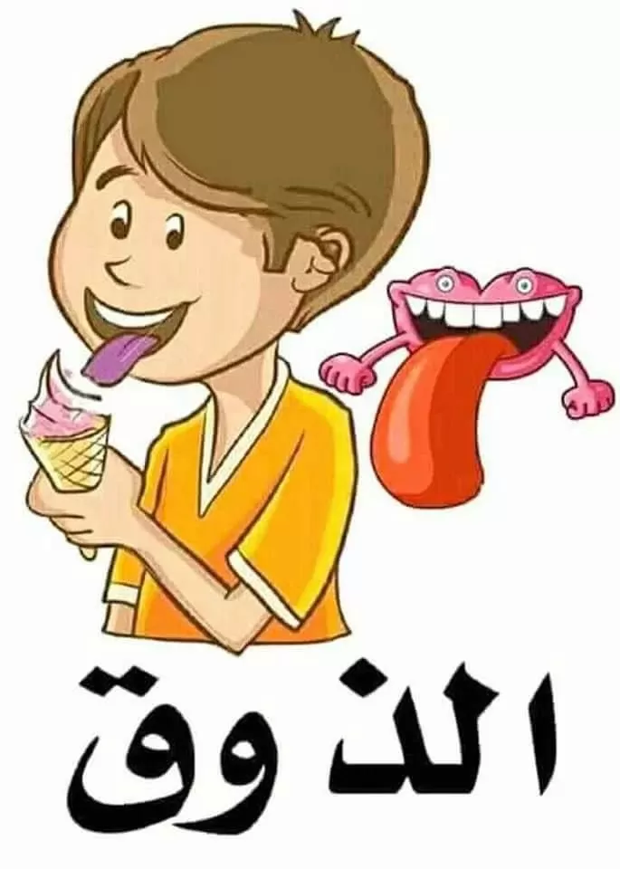 حاسة التذوق حاسة التذوق