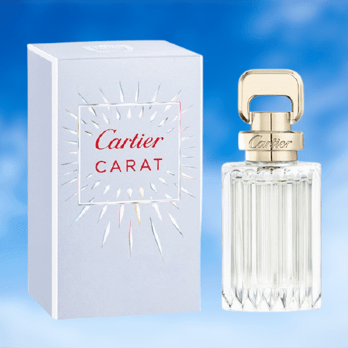 كارتير كارات للنساء كارتير كارات للنساء