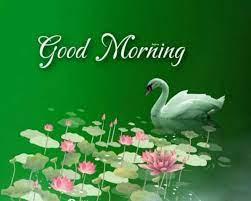 صباح الخير صباح الخير